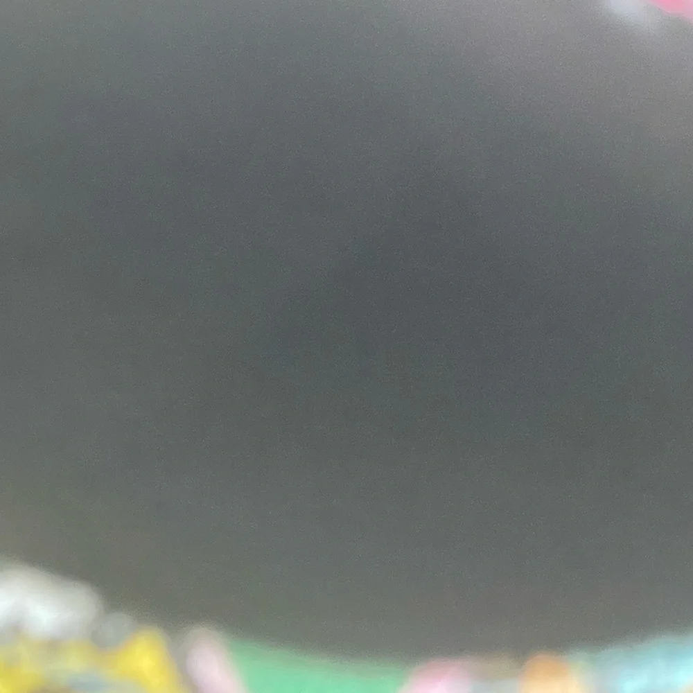 Colorful Snake Print Clutch - Picture 6 of 6